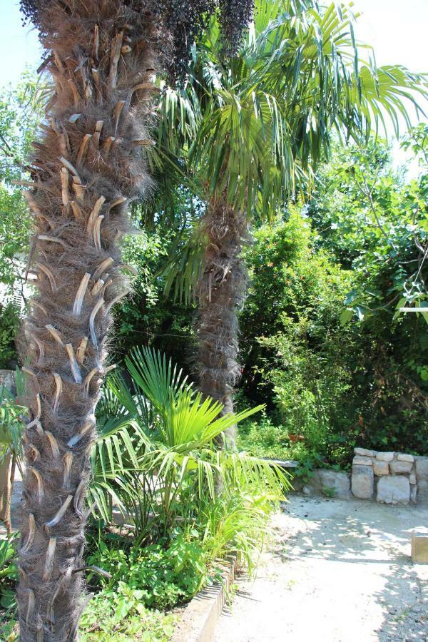 Kuca Za Odmor Isabella Apartment Dubrovnik Exterior photo